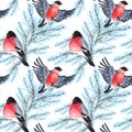 Watercolor seamless pattern of bullfinch bird, winter foliage