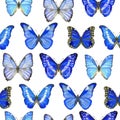 Watercolor seamless pattern with butterflies Morpho on white