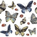 Watercolor seamless pattern with butterfly and ladybug. Hand painted insect ornament isolated on white background