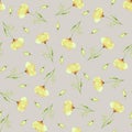 Watercolor seamless pattern of California poppies on a gray background