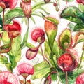 Watercolor seamless pattern with carnivorous plants, Venus flytrap, and pitcher plants Royalty Free Stock Photo