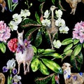 Watercolor pattern of alpaca, llama and ostrich with orchids, rhododendron Royalty Free Stock Photo