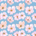 Watercolor seamless pattern of cherry flowers and leaves. Floral repeating pattern with hand drawn apple blossom branch Royalty Free Stock Photo