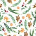 Watercolor seamless pattern with Christmas floral elemens fir branches and fir cones , orange, briers The illustration for the wra