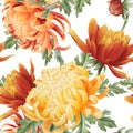 Watercolor seamless pattern with chrysanthemum