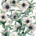 Watercolor seamless pattern with classic anemone. Hand painted white flower abd eucalyptus leaves isolated on white Royalty Free Stock Photo