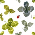 Watercolor seamless pattern, clover leaves and red beetle with black spots. hand draw leaves for St Patrick's day Royalty Free Stock Photo