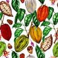 Watercolor seamless pattern of cocoa plant,cocoa flowers,cocoa beans,cocoa fruits