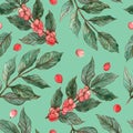 Watercolor seamless pattern of coffee branches with red coffee fruits Royalty Free Stock Photo