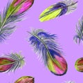 Watercolor seamless pattern of colored feathers on purple background Royalty Free Stock Photo