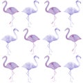 watercolor seamless pattern with colored flamingos