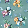 Watercolor seamless pattern of colorful bouquet with iris flower, forget-me-not and leaves Royalty Free Stock Photo