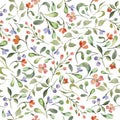 Watercolor seamless pattern with colorful flowers, leaves, branche, berries. Hand drawing