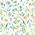 Watercolor seamless pattern with colorful meadow flowers. Hand drawing floral background. Royalty Free Stock Photo