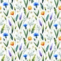 Watercolor seamless pattern with cornflowers, chamomile. Floral background. Hand drawn wildflowers
