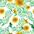 Watercolor seamless pattern with dandelion. Floral background. Royalty Free Stock Photo