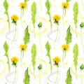 Watercolor seamless pattern of dandelions and floral leaves, spring and summer wild flowers Royalty Free Stock Photo