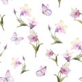 Watercolor seamless pattern with delicate pink field flowers, Bluebell herb and butterflies, drawing by watercolor, hand Royalty Free Stock Photo