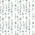 Watercolor seamless pattern with dense baby blue eucalyptus. Hand painted eucalyptus round leaves and branch isolated on Royalty Free Stock Photo