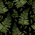 Watercolor Seamless pattern with different  ferns Royalty Free Stock Photo