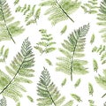 Watercolor Seamless pattern with different  ferns Royalty Free Stock Photo