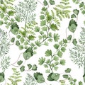 Watercolor Seamless pattern with different  ferns Royalty Free Stock Photo