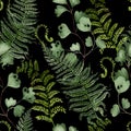 Watercolor Seamless pattern with different  ferns Royalty Free Stock Photo