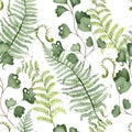 Watercolor Seamless pattern with different  ferns Royalty Free Stock Photo
