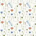 Watercolor seamless Pattern with different wild Flowers. Cute hand drawn Background with Meadow plants for fabric and Royalty Free Stock Photo