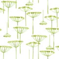 Watercolor seamless pattern with dill.