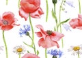 watercolor seamless pattern with drawing field flowers Royalty Free Stock Photo