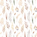 Watercolor seamless pattern with dried winter herbs and leave