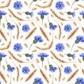 Watercolor seamless pattern with ears of wheat and cornflowers. Royalty Free Stock Photo