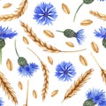 Watercolor seamless pattern with ears of wheat and cornflowers. Royalty Free Stock Photo