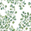 Watercolor seamless pattern with eucalyptus branch. Greenery plant. Floral illustration for kids, baby textile fabric, scrapbook