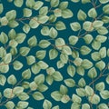 Watercolor seamless pattern with eucalyptus branches