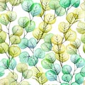 Watercolor seamless pattern with eucalyptus leaves. transparent colored eucalyptus leaves of blue, green, yellow color. modern pri Royalty Free Stock Photo