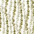 Watercolor seamless Pattern with Eucalyptus leaves on a white Background. Vintage hand drawn botanical print Royalty Free Stock Photo