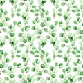 Watercolor seamless pattern with eucalyptus leaves on a white background. vintage print for fabric, wallpaper. tropical green leav Royalty Free Stock Photo