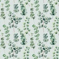 Watercolor seamless pattern with eucalyptus round leaves. Hand painted baby, silver dollar eucalyptus branch isolated on