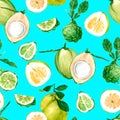 Watercolor seamless pattern with exotic fruits. Young green coconut and Kaffir Lime. Ideal for fabric, packaging and textile produ Royalty Free Stock Photo