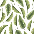 Watercolor seamless Pattern with exotic tropical Palm Leaves. Hand drawn illustration with green jungle plants. Summer Royalty Free Stock Photo
