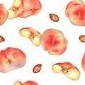 Watercolor seamless pattern with fig peaches and slice isolated on white background. Whole ripe and half fruits. Chines Royalty Free Stock Photo