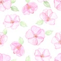 Watercolor seamless pattern with flowers, pink wild rose and green leaves, on a white background. Royalty Free Stock Photo