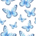 Watercolor seamless pattern with flying blue butterflies