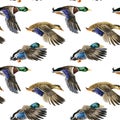 Watercolor Seamless pattern with flying duck