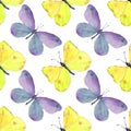 Yellow and violet butterflies pattern