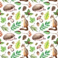 Watercolor seamless pattern Forest life Illustration on white background with hedgehogs, ladybug, hazelnut,chipmunk, mushroom.