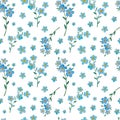 Watercolor seamless pattern with forget-me-not spring flowers Royalty Free Stock Photo