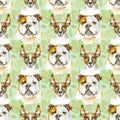 Watercolor seamless pattern of bulldog and jack russell terrier. Pet, puppy background. Animal wallpaper
